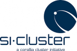 si-cluster